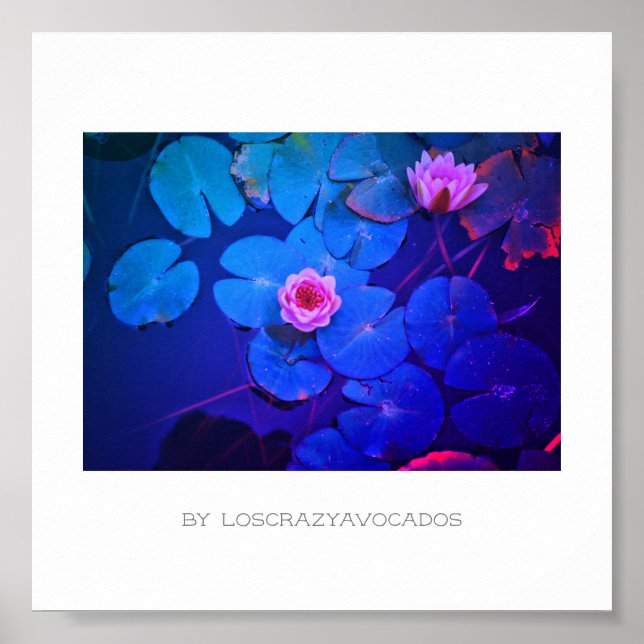 Stiliserad Rosa Vatten Lily Flowers Plants Poster (Framsidan)