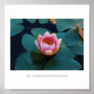 Stiliserad Rosa Vatten Lily Flowers Plants Poster