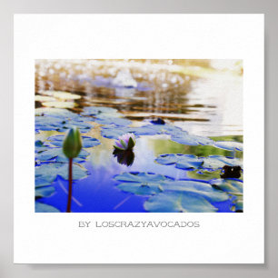 Stiliserad Rosa Vatten Lily Flowers Plants Poster