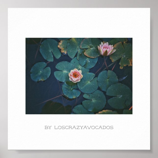 Stiliserad Rosa Vatten Lily Flowers Plants Poster (Framsidan)