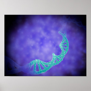 Stiliserad vy av mänskliga DNA-strängar Poster