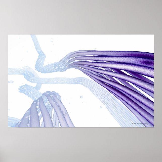 Stiliserade nervfibrer poster (Framsidan)