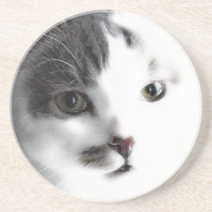 Stilized Cat Ansikte Close Stone Underlägg Sandsten