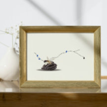 still Life Seashell och Ivory Collage
