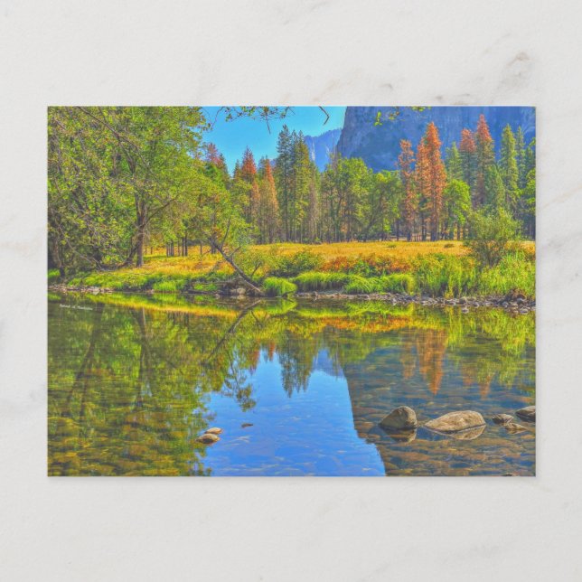 Still Water Vykort (Framsida)