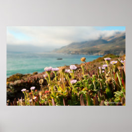 Stilla havet Blommor Fotografi Poster