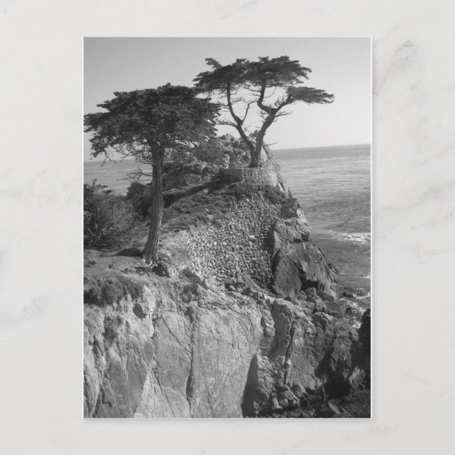 Stilla havet vykort (Framsida)