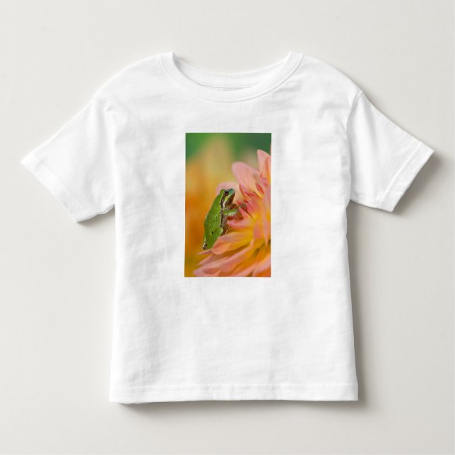 Stilla träd groda på blommor i vår trädgård, 2 t-shirt (Framsida)
