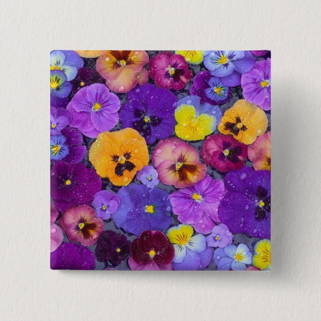 Stilla violblommor flyter i fågelbad med dagg knapp (Framsida)