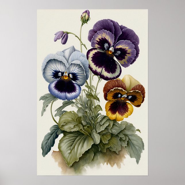 Stilla violer Stilla viol Blomma Konsttryck Poster (Framsidan)