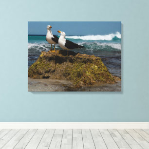 Stillahavets havsvik (Beach Ocean Landcape Austral Canvastryck