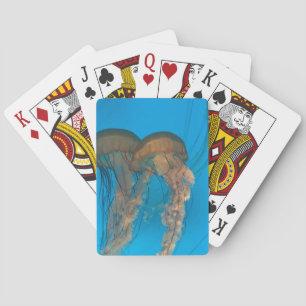 Stillahavets nettles Classic-uppspelningskort Casinokort