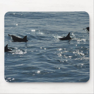 Stillahavs- allmänningdelfin Mousepad Musmatta