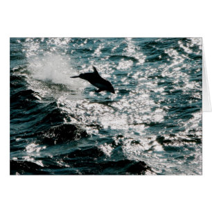 Stillahavs- delfin hälsningskort