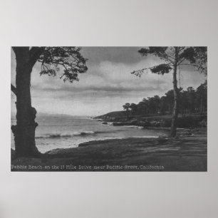 Stillahavs- dunge, CA - Pebble Beach på 17 Mile Poster