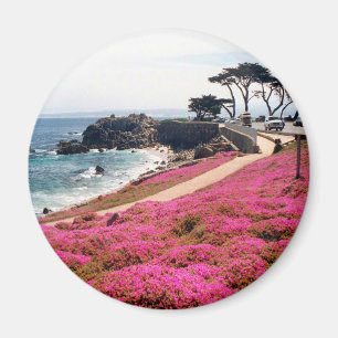 Stillahavs- Dunge-Monterey Calif Magnet