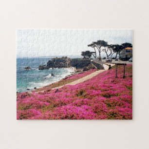 Stillahavs- Dunge-Monterey Calif Pussel