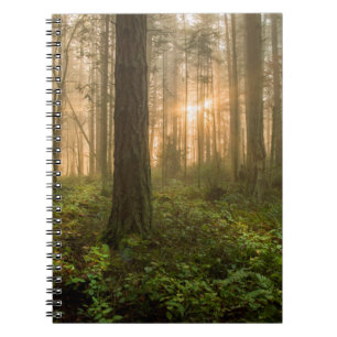 Stillahavs- Northwest dimmig morgon för skog Anteckningsbok