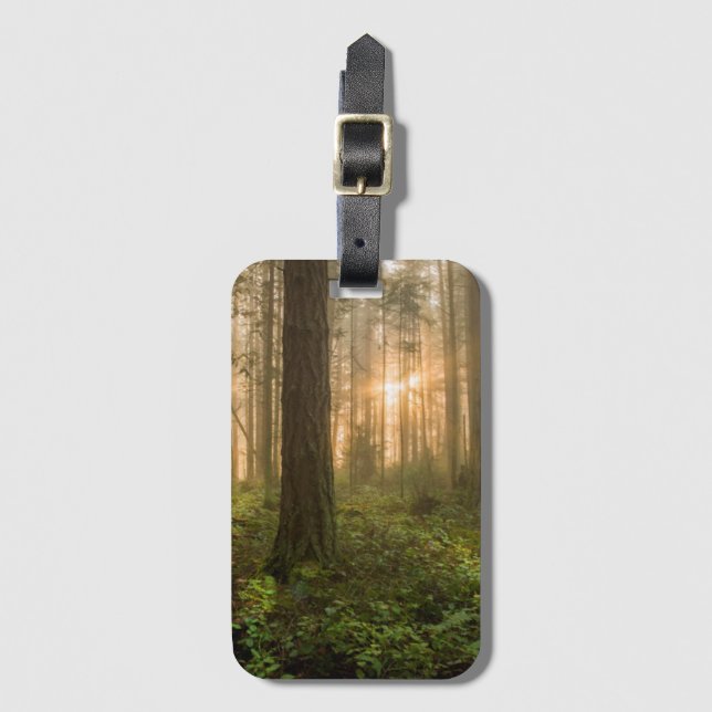 Stillahavs- Northwest dimmig morgon för skog | Bagagebricka (Framsida vertikal)
