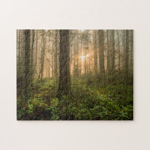 Stillahavs- Northwest dimmig morgon för skog Pussel