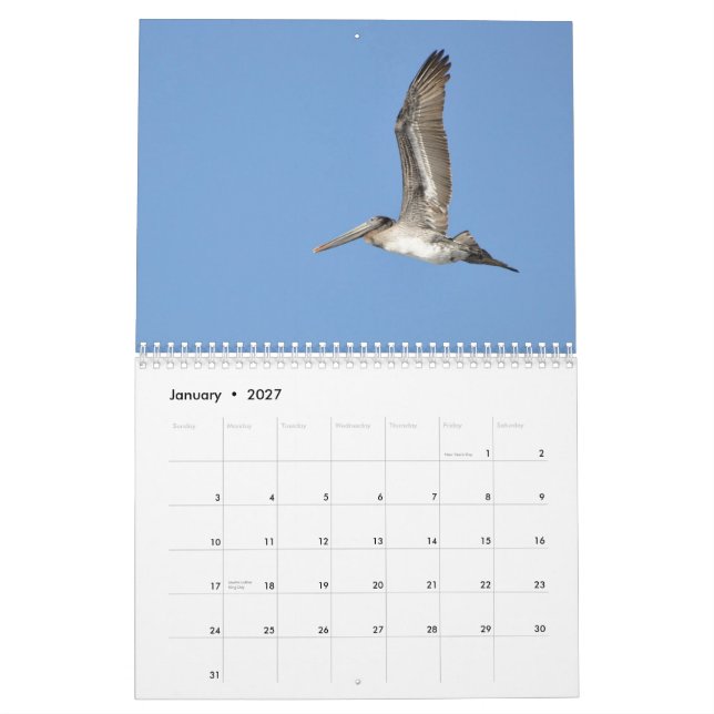 Stillahavs- Northwest fåglar Kalender (Jan 2027)