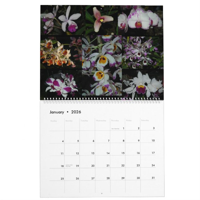 Stillahavs- OrchidExpo Kalender (Jan 2026)