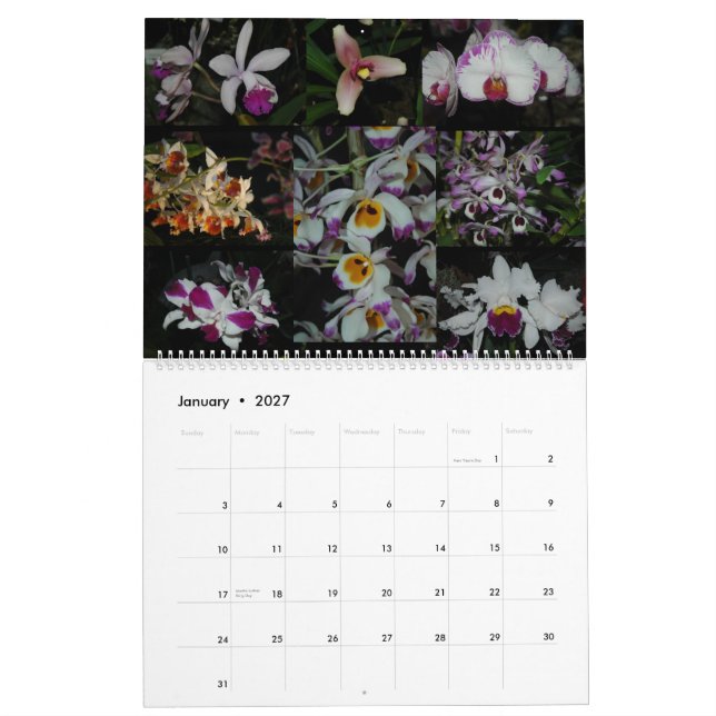 Stillahavs- OrchidExpo Kalender (Jan 2027)