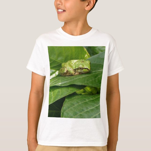 Stillahavs- trädgroda - T-tröja Tee Shirt (Framsida)