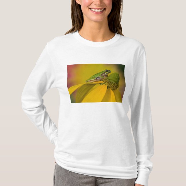Stillahavsgroda på blommor i vår trädgård t shirt (Framsida)