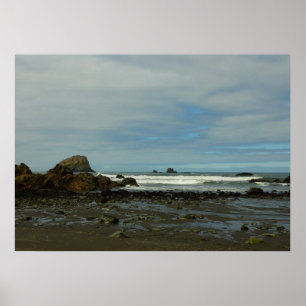 Stillahavskusten vid Redwood nationalpark Poster