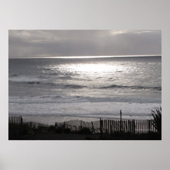 Stillahavsområdet Kusten Poster (Framsidan)