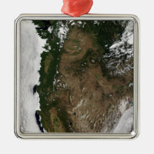 Stillahavsområdet Northwest region of United State Julgransprydnad Metall