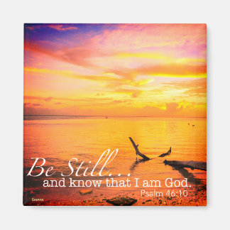 Stillastående magnet