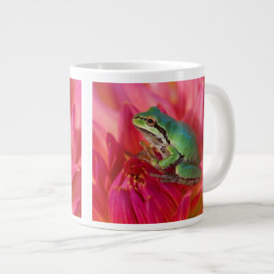 Stillbild av pacific tree frog på blommor i vår tr jumbo mugg