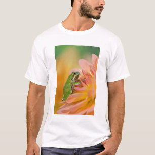 Stillbild på Stillahavsgroda på blommor i vår träd Tee Shirt