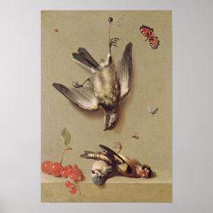 Stilleben av döda fåglar och körsbär, 1712 poster