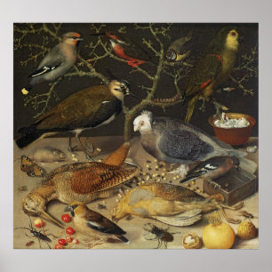 Stilleben av fåglar och insekter, 1637 poster