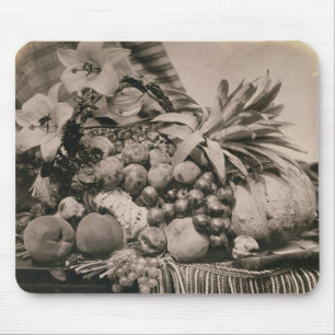 Stilleben med frukt, 1860 (sepiafotoet) musmatta