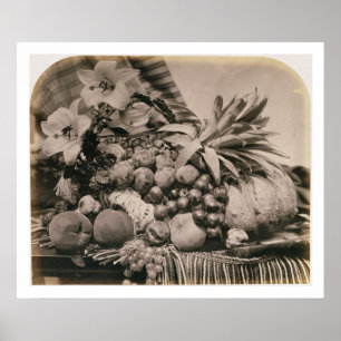 Stilleben med frukt, 1860 (sepiafotoet) poster