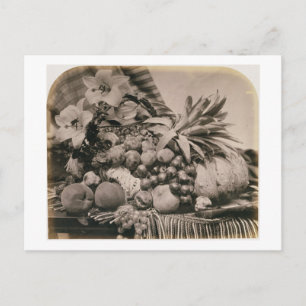 Stilleben med frukt, 1860 (sepiafotoet) vykort