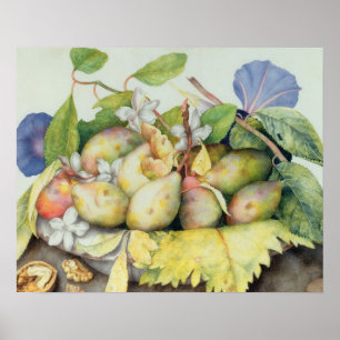 Stilleben med plommoner, valnötter och jasminen poster