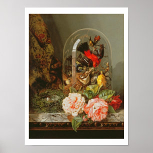 Stilleben med surrfågeln i en Glass kupol Poster