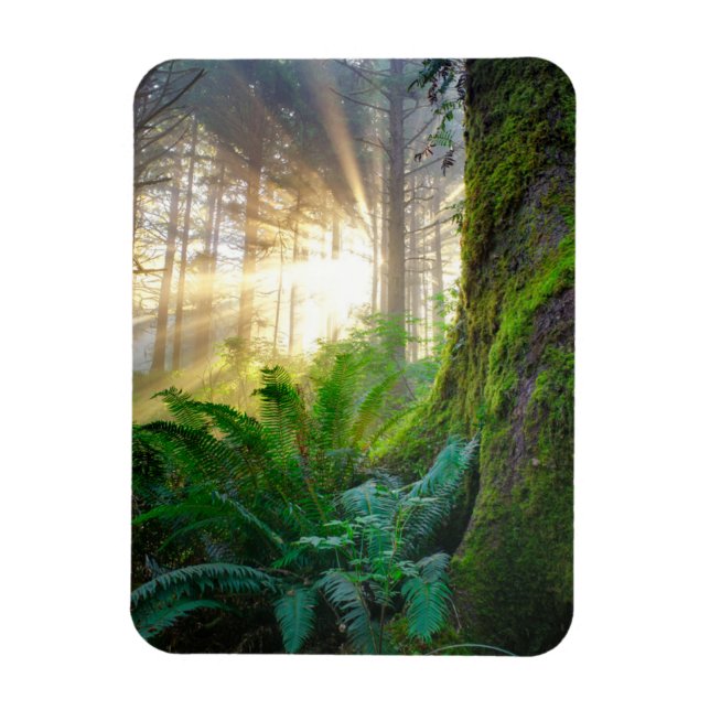 Stillerskogsbruk, Oregon Magnet (Vertikal)