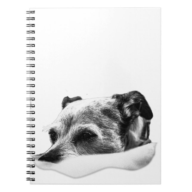 Stillhetssidor Anteckningsbok (Framsidan)