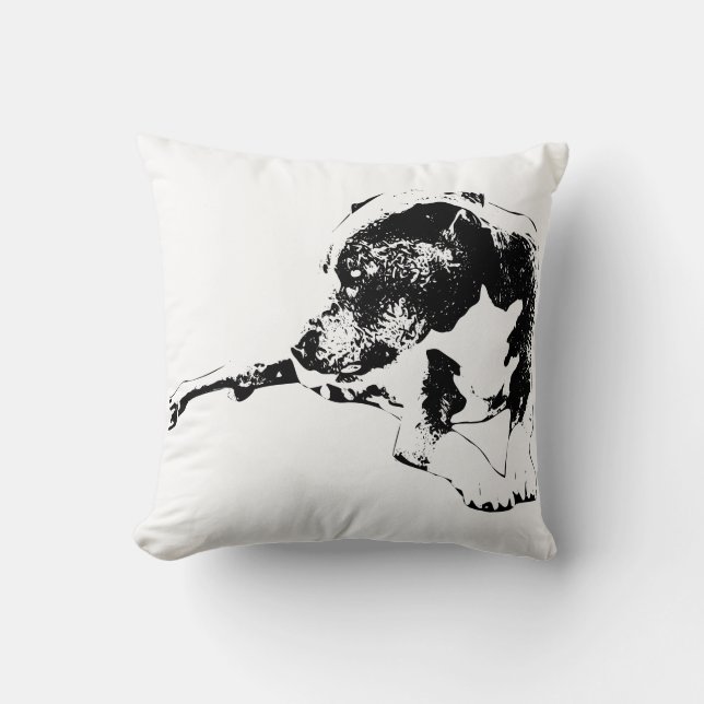 Stillness-rum Kudde (Framsida)