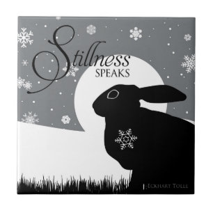 STILLNESS TALAR KAKELPLATTA