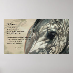 Stillnessinspiration Poster