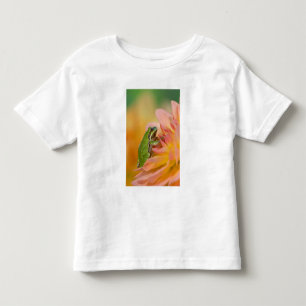 Stillträdet groda på blommor i vår trädgård, 2 t-shirt