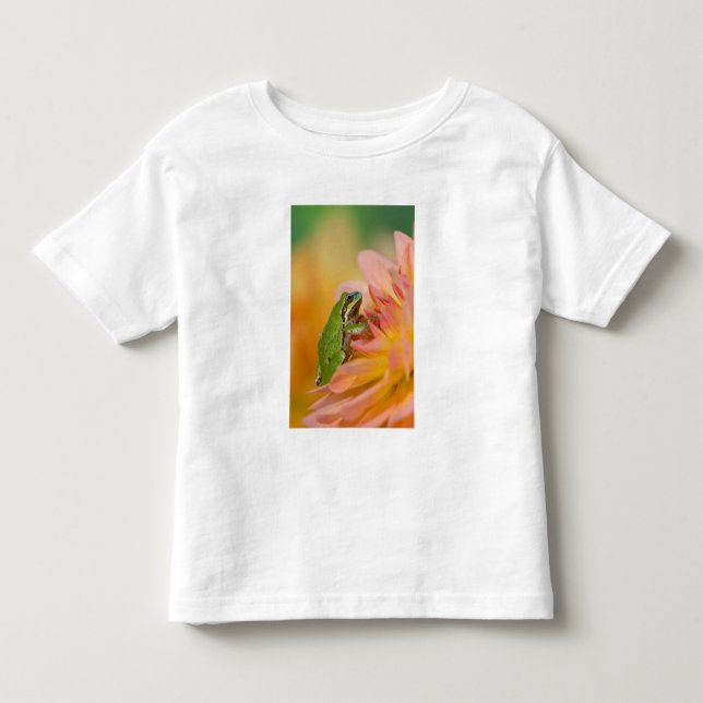 Stillträdet groda på blommor i vår trädgård, 2 t-shirt (Framsida)
