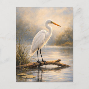 Stillwater Egret   Kustlevande djur   Vykort